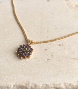 שרשרת פריחה בשחר