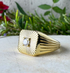 קולקציית בראשית