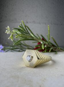 קולקציית בראשית