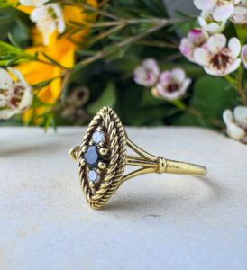 קולקציית בראשית